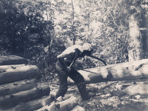 Cutting pulpwood with swede saw in Harrisville