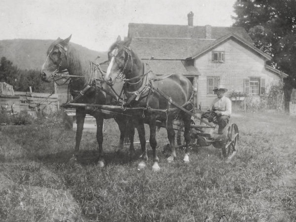 56. Man with horses at Politsch Place in Benson