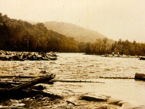 Driving logs on the river in Hope