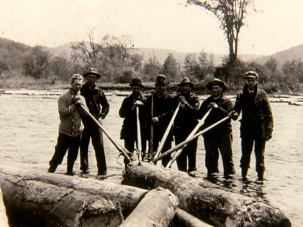 Group of loggers driving logs on the river in Hope