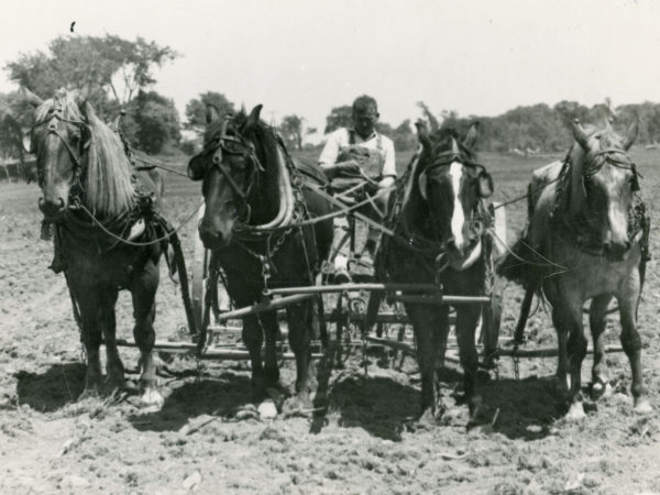 Preston Brenon harrows a field in Carthage area