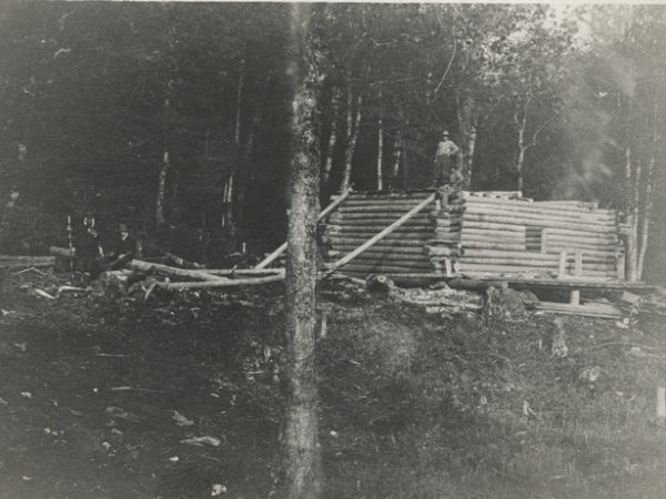 Building a log cabin in the woods in Wilmurt