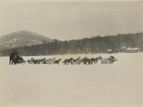 Dogsled team pulls people in Lake Placid