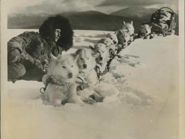 Jacques Suzanne with his team of dogs in Lake Placid