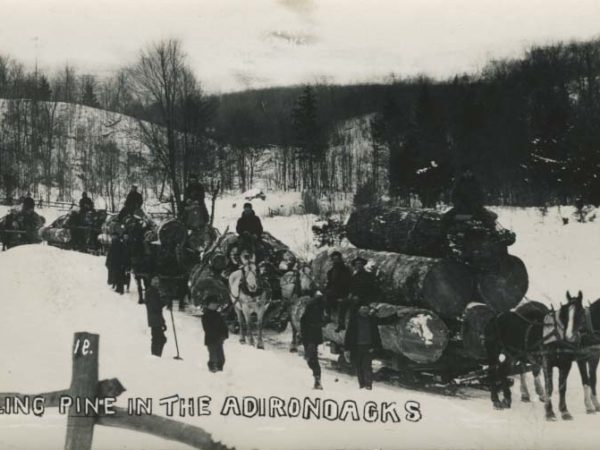 Seven horse-drawn bobsleds loaded with pine logs being pulled through the Adirondacks