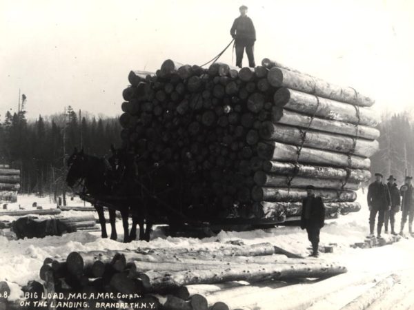 Man stands atop enormous load of logs on a bobsled in Brandreth Park