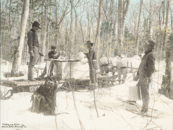 Horseshoe Forestry Company workers pour sap into gathering tank in the woods of Piercefield