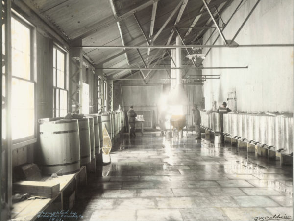 Men process maple sap in the canning room at the Horseshoe Forestry Company in Tupper Lake