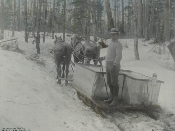 Man stands on a sled with sap gathering tank in the woods of Piercefield