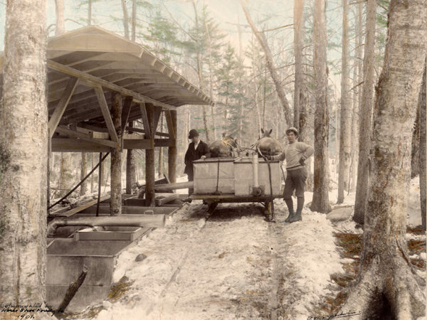 : Men empty sap from a gathering tank into storage vats at the Horseshoe Forestry Company in Piercefield