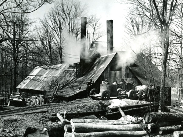 Unloading sap at a maple sugar house in Boonville