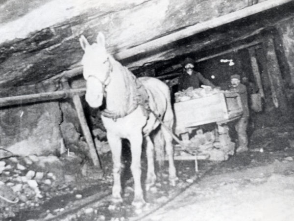 Horse pulls ore car loaded with graphite in mine in Hague