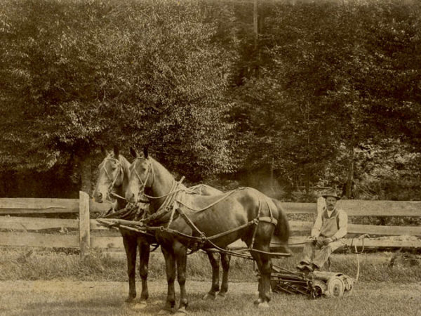 Man drives a horse drawn reel lawn mower in Tupper Lake