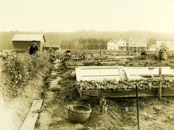 Garden with cold frames in the village of Old Forge