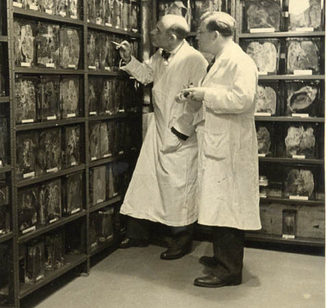 Two doctors examine a wall of lung samples inside the Trudeau Sanitarium in Saranac Lake