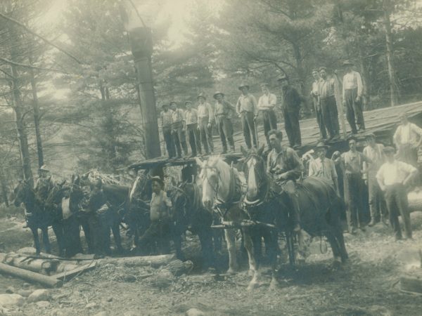 Loggers with draft horses near Paul Smith’s Hotel in Paul Smiths