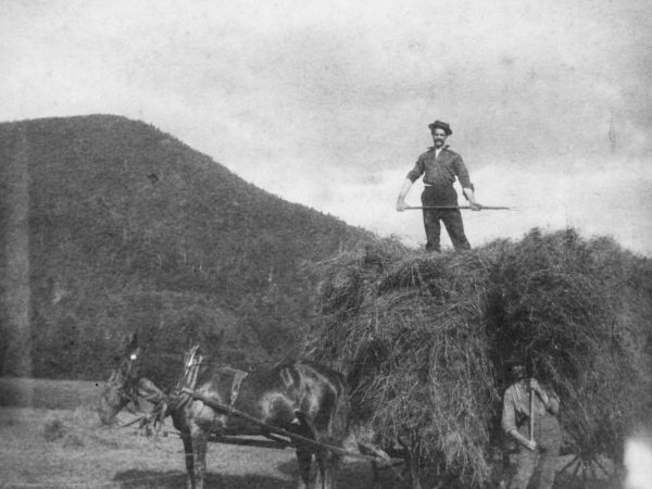 George Dibble on a load of hay in Keene Valley