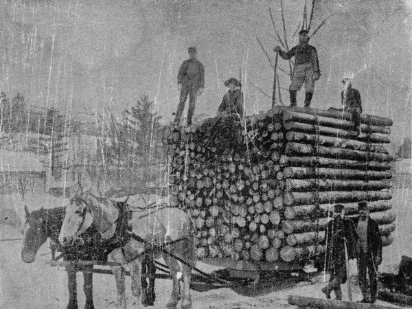 : Hauling a load of spruce logs in Elizabethtown