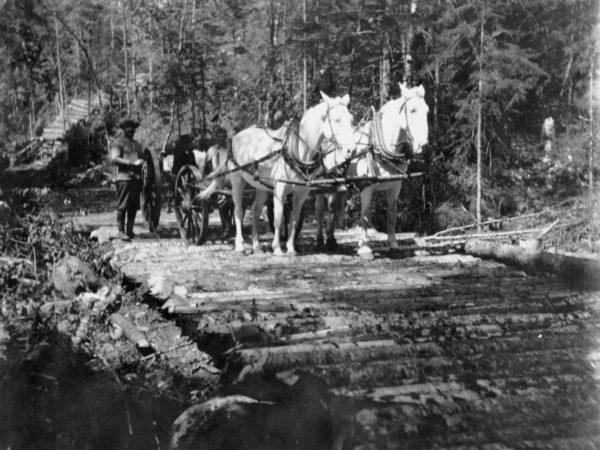 Lumbering team on corduroy road in Keene Valley