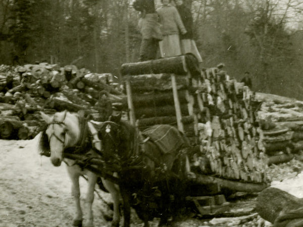 A load of pulpwood on a horse-drawn sled in Keene Valley