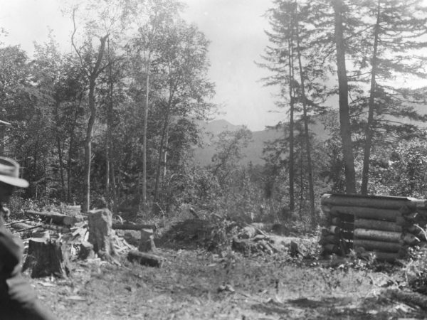 Log lean to among the stumps at the Hulls Lumber Camp in Keene Valley