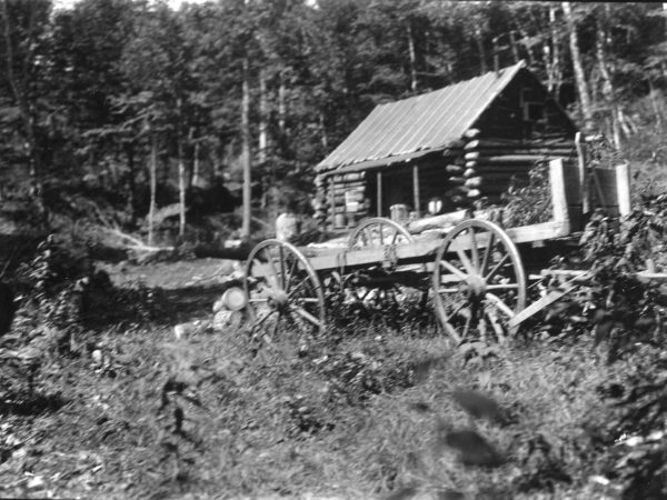 Wagon and camp at Hulls Lumber Camp