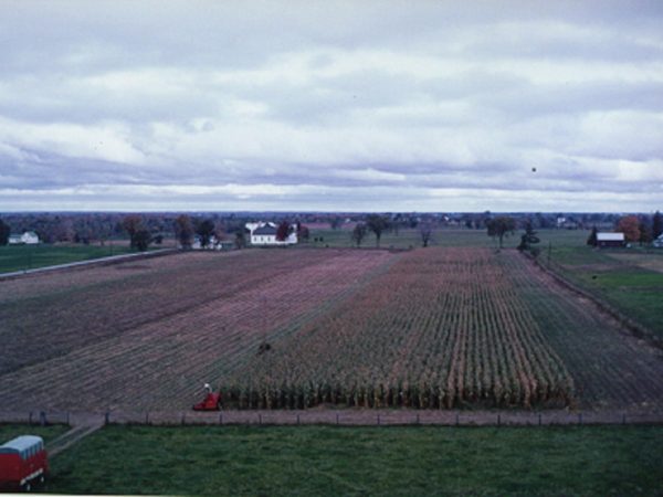 Cutting corn on the Thompson farm in Lisbon