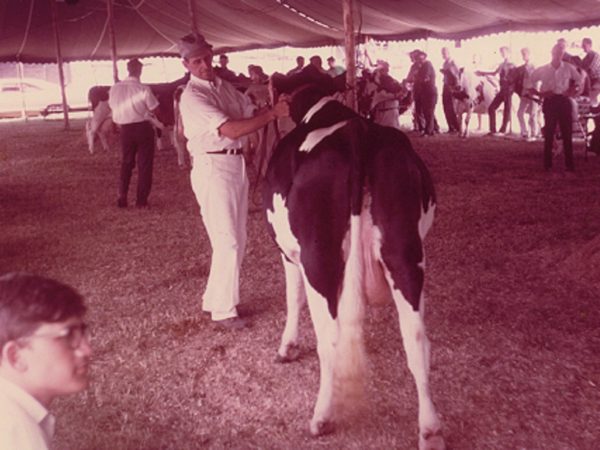 Robert Thompson with a cow at the Gouverneur Fair Show