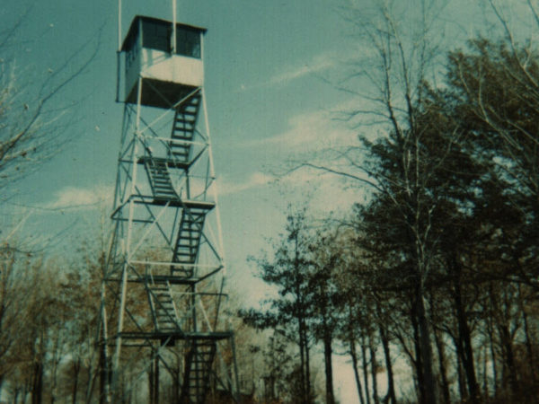 View of the fire tower on Catamount Mountain