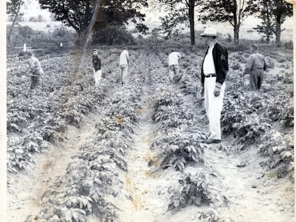 Prisoners working in the vegetable garden of the County Poor House in Canton