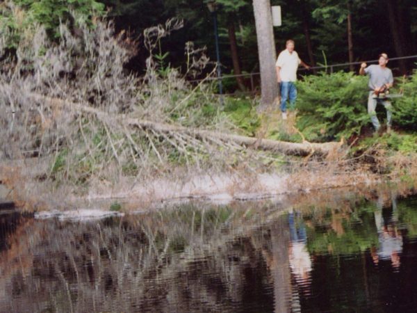 Removing dead trees around Cold Pond in Colton