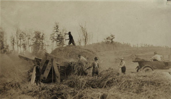 Threshing grain on the Oval Wood Dish farm in Tupper Lake