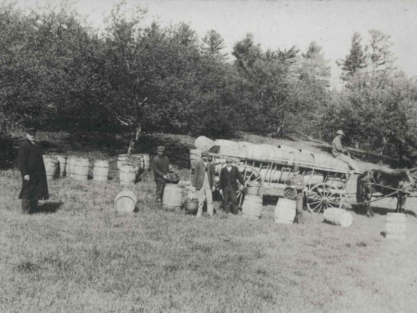 Apple picking in the North Country