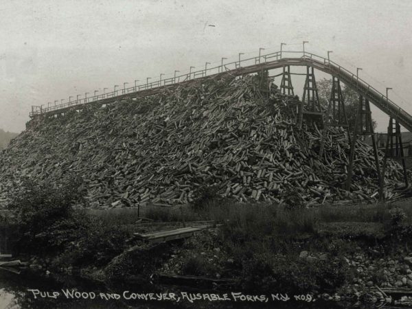 Pulp wood and conveyor in Ausable Forks, NY