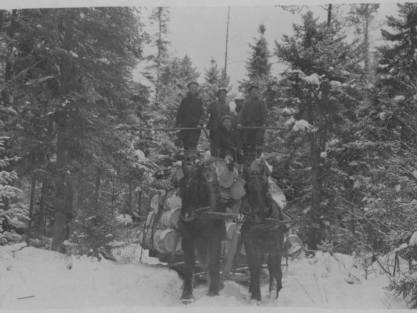 Five lumberjacks atop a sleigh full of logs in Tupper Lake