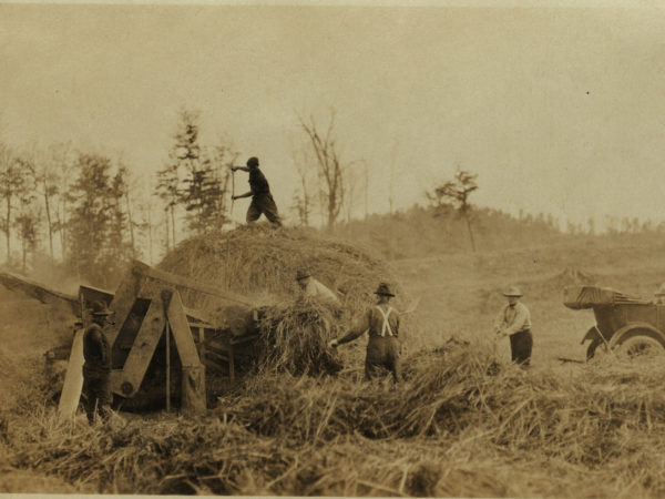 The Oval Wood Dish farm in Tupper Lake