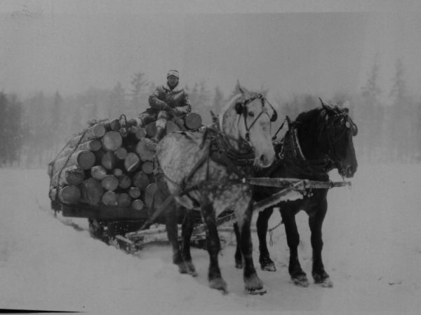 Hauling a bob sled of logs in Tupper Lake