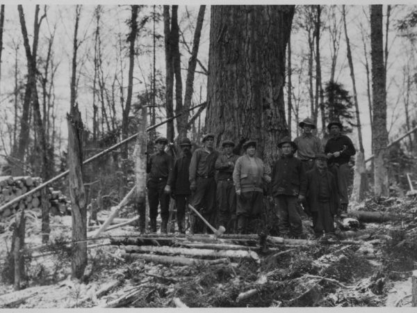 A group of loggers next to a large tree near Tupper Lake