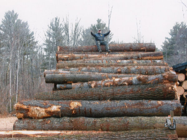 Logger sitting on a huge pile of logs in Elizabethtown