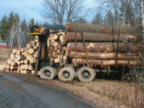 A stack of white pine logs on a loader in Elizabethtown