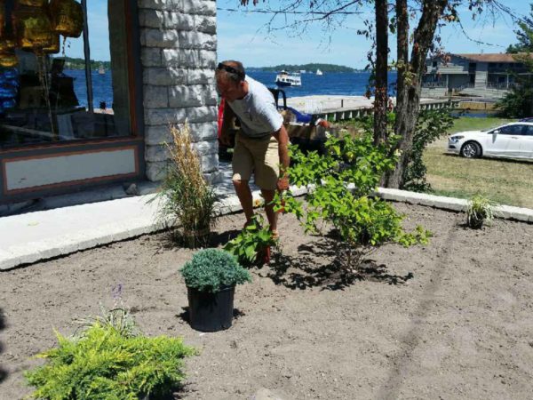 A Thousand Islands Landscaping worker arranging plants in Alexandria Bay