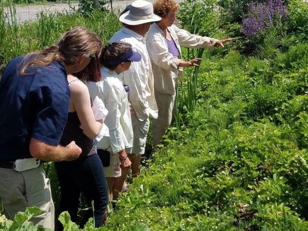 Giving a tour at Cross Island Farms on Wellesley Island