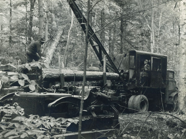 Loading Logs for the Triangle Lumber Company in Onchiota