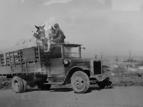 Carl Tracy trucking a team of horses in West Stockholm