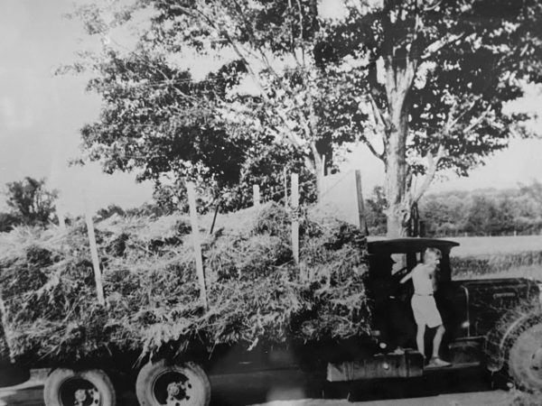 Carl Tracy hauling hay by truck in West Stockholm