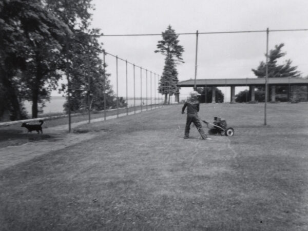 Boy using push mower on lawn