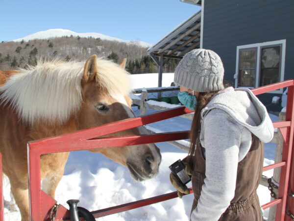 Erica Burns with horse Clover