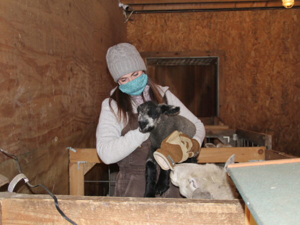 Erica Burns holding a lamb