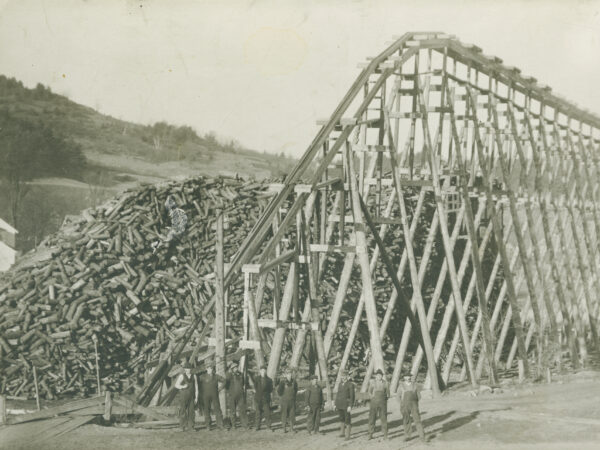 Men in front of wood conveyor and massive wood pile